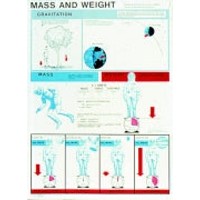 Chart - Mass and Weight