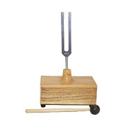 Tuning Fork with Resonance Box E640