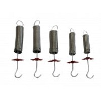 Spring Set (Various) - Set of 5 - Hook's Law